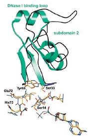 Molecular component6.jpg